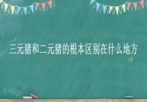 三元猪和二元猪的根本区别？在什么地方