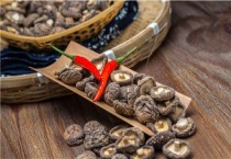 香菇的涨发方法及出成率