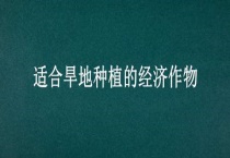 适合旱地种植的经济作物