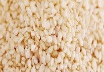 白芝麻能不能生吃 有什么营养价值