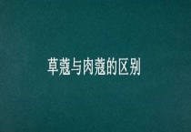 草蔻与肉蔻的区别？