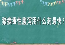 猪病毒性腹泻用什么药最快