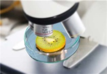 农药怎么看出酸性或碱性