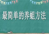 最简单的养蛆多久？