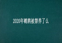 2020年鹌鹑被禁养了么