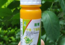 丁醚脲杀什么虫