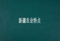 新疆农业特点