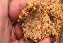 夏季钓鲤鱼最好的饵料是什么？经典配方有哪些？