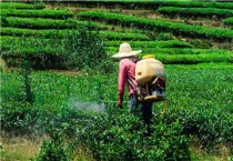 低毒农药有哪些？