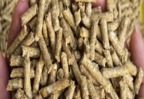 养殖户在选购饲料应注意哪些问题 主要有以下五个方面