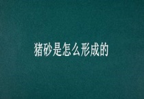 猪砂是怎么形成的