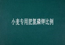 小麦专用肥氮磷钾比例