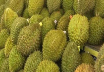 菠萝蜜和榴莲的区别？ 榴莲和菠萝蜜的味道区别？