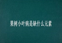 果树小叶病是缺什么元素