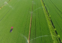 生态农业的发展前景 附发展特点和发展现状