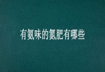 有氨味的氮肥有哪些？