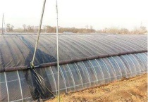 冬季大棚如何排湿