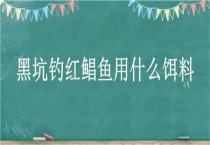 黑坑钓红鲳鱼用什么饵料