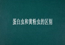 蛋白虫和黄粉虫的区别？