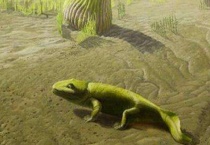 四足动物有哪些？