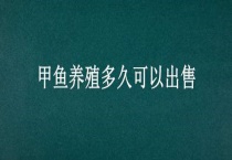 甲鱼养殖多久可以出售