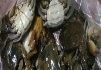 扁蟹和梭子蟹有什么不同 详细介绍