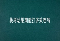 桃树幼果期能打多效唑吗？