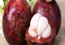 名字带“竹”的是什么水果 关于山竹的基本介绍