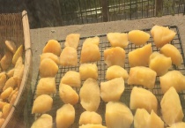 香蕉脯怎么制作加工 具体有哪些步骤