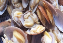 花甲最肥是什么时候 附花甲常见做法