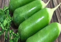 水果萝卜的播种时间 怎样防治病虫害