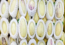 七彩果是人参果吗？