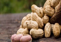 花生发霉后能否食用 附花生怎么保存