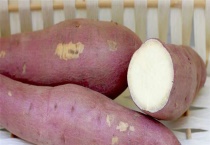 自己在家怎么种地瓜