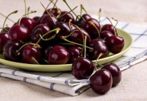 车厘子在北方能种植吗？