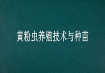 黄粉虫养殖技术与种苗