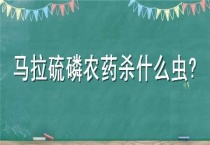 马拉硫磷农药杀什么虫