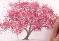 樱花树能插活吗？