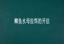 鲫鱼水母拉饵的开法