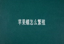 苹果螺怎么繁殖