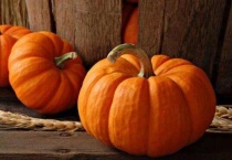 南瓜为什么叫攀蒲