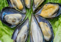 青口贝是否可以生吃 附青口贝的做法