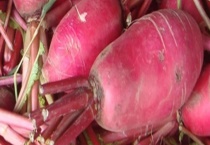 红萝卜能不能生吃 萝卜有什么功效
