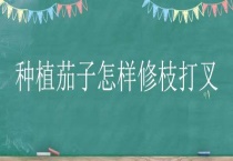 种植茄子怎样修枝打叉