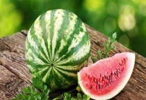 一颗西瓜苗结几个瓜