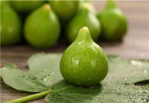 无花果栽培种植技术