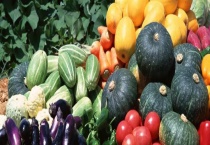 怎么防除有机蔬菜杂草 这几个方法很有效