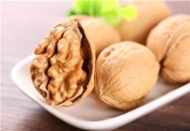 核桃种子怎么催芽多久？