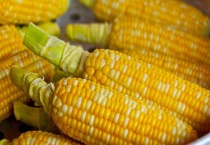 煮玉米需要多长时间？