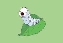 蚕宝宝的卵怎么孵化